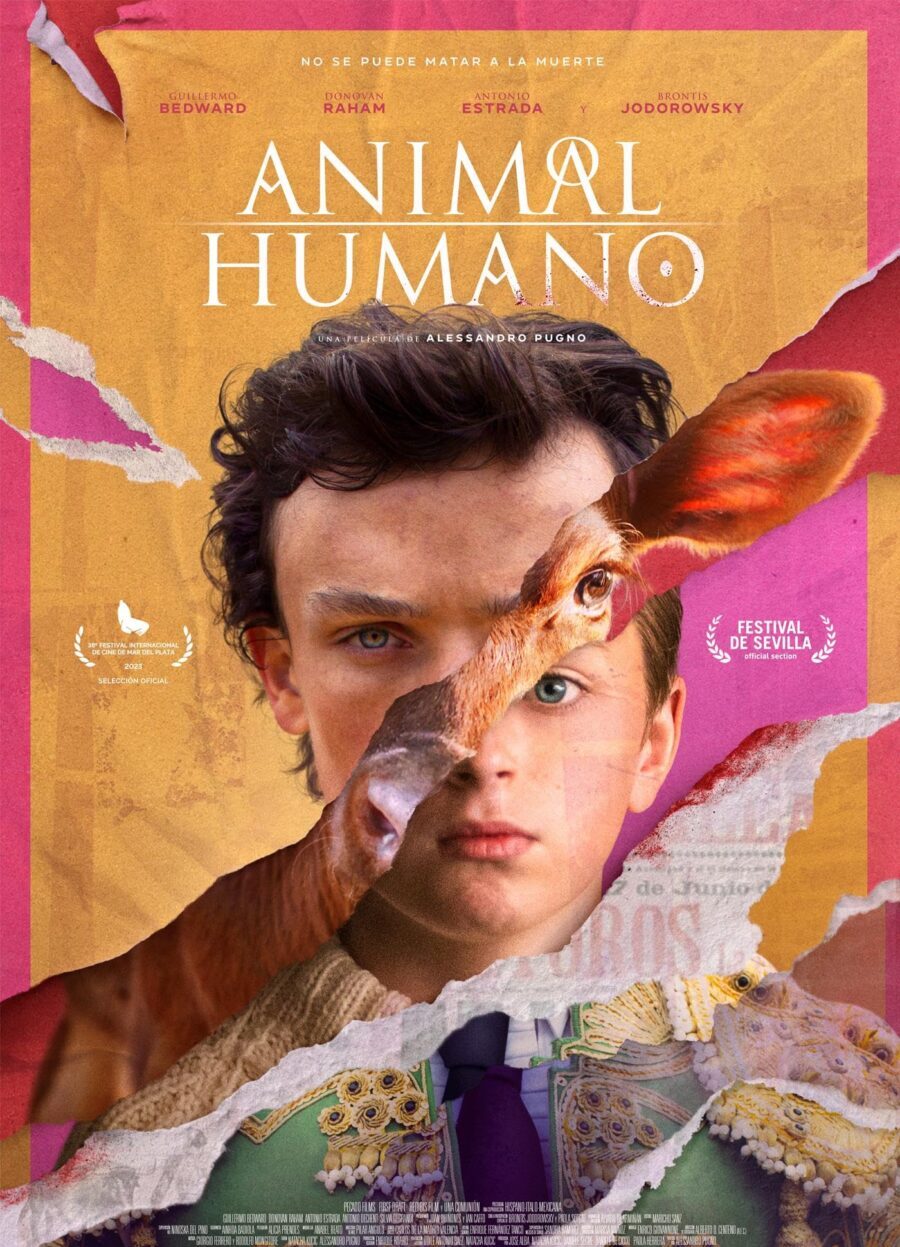 ANIMALE | UMANO